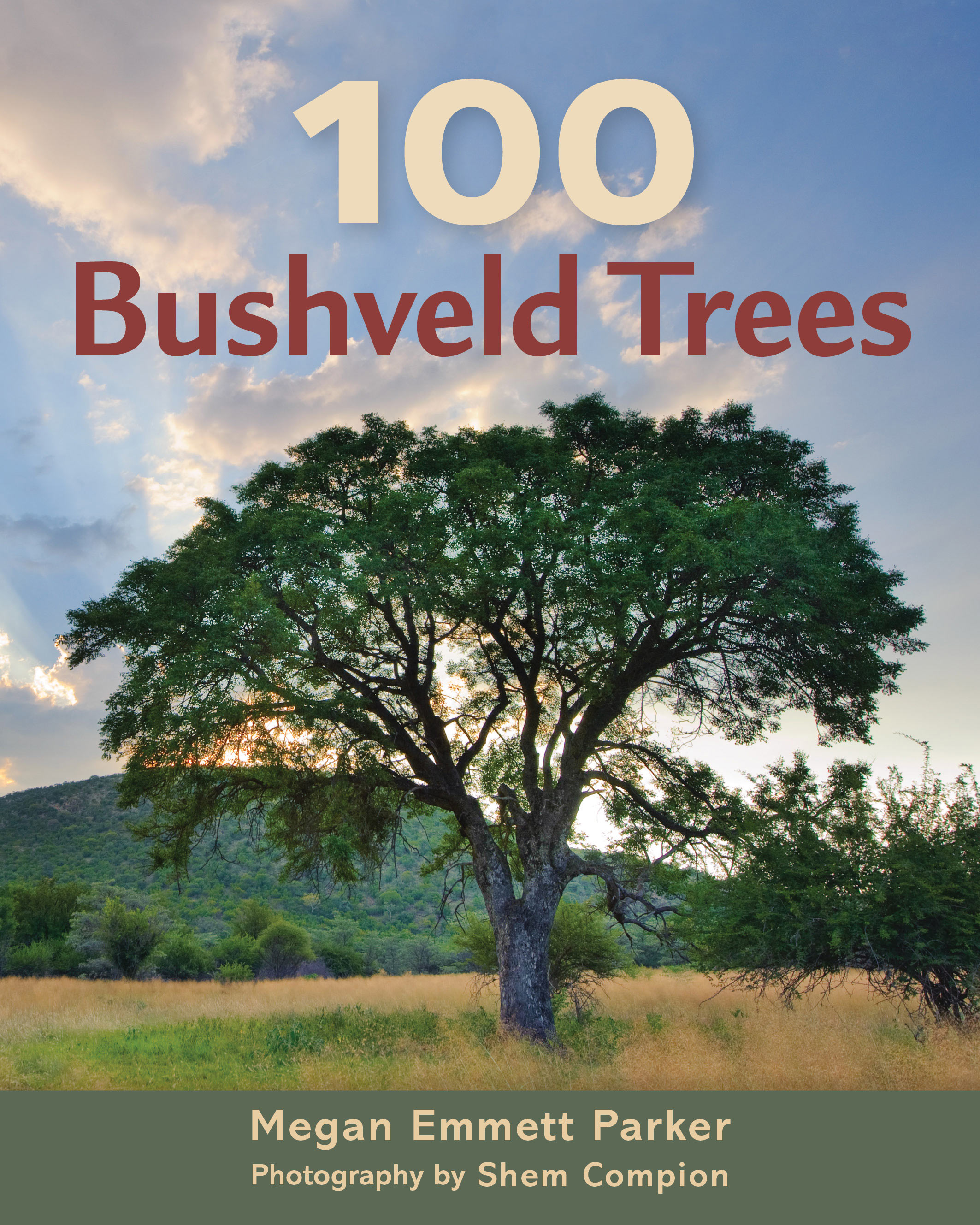 100 Bushveld Trees Penguin Random House South Africa